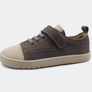 Blanditos by Crio's - Sapatilhas Ancla (Gris) 2026
