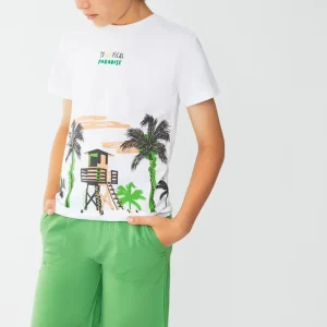 Street Monkey Conjunto Menino
